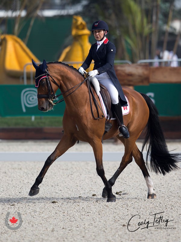Canadian Dressage Team Holding Close Second at Lima 2019 Pan Am Games
